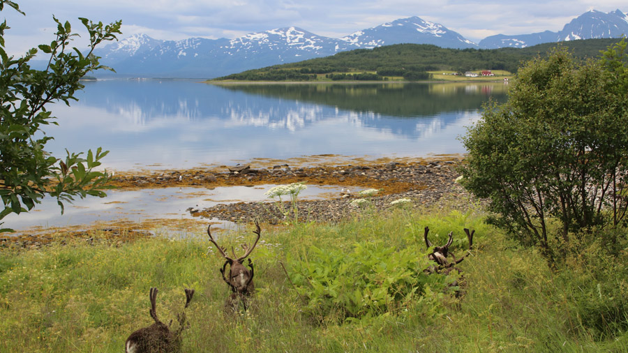 incontournables de la Norvège