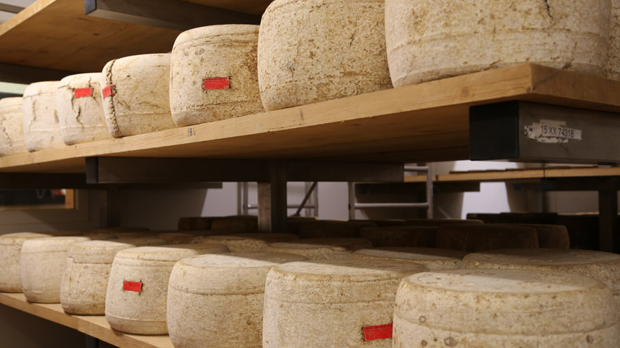 incontournables du Cantal