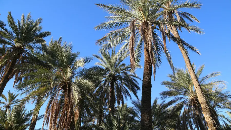 incontournables de la Tunisie du Centre