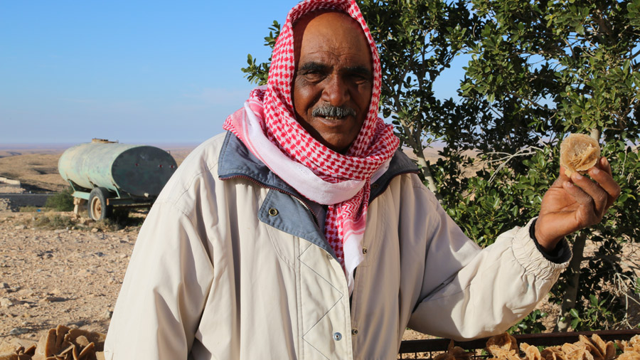 incontournables de la Tunisie