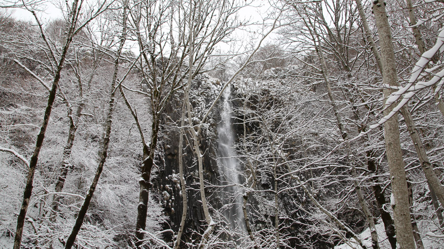 incontournables du Cantal