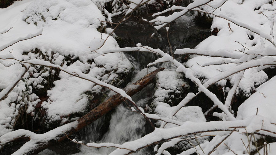 incontournables du Cantal