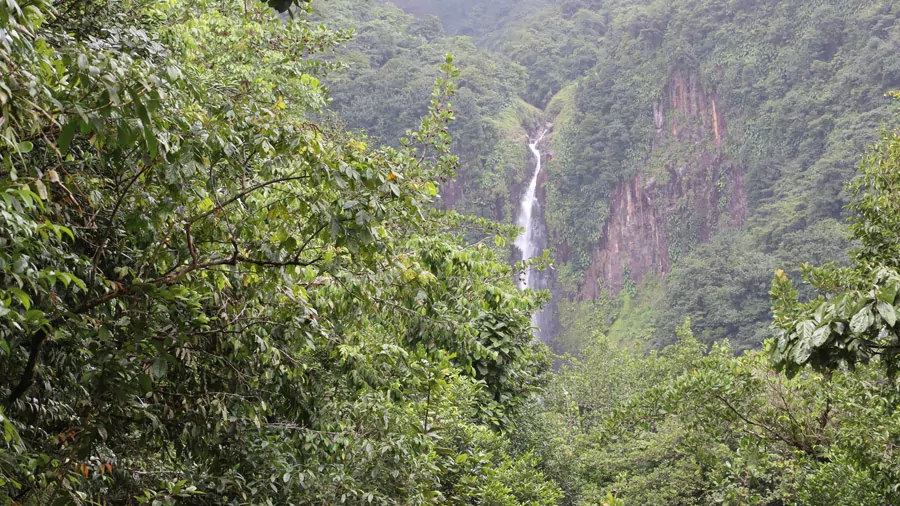 incontournables de la Guadeloupe