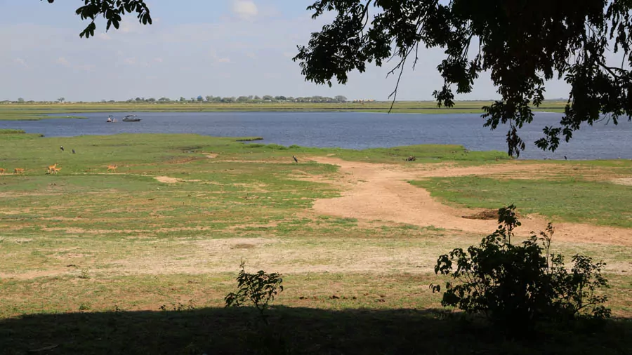 incontournables du Botswana