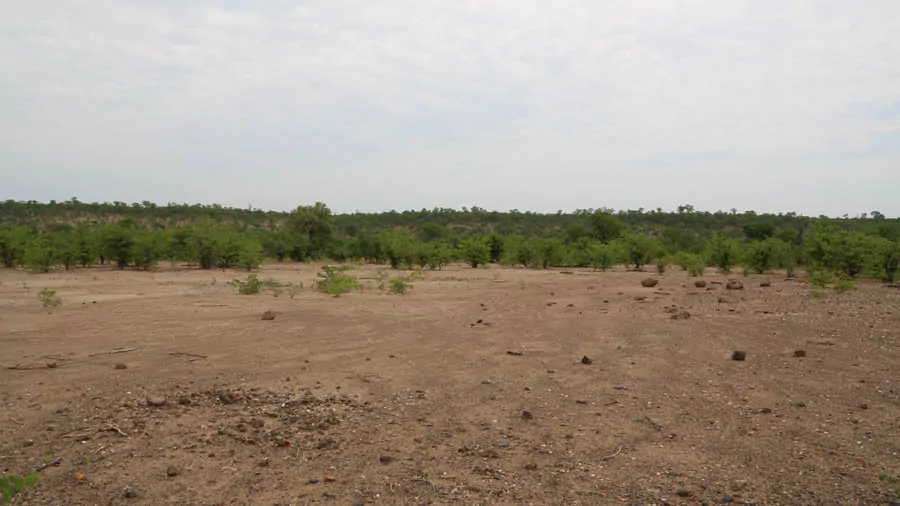 incontournables du Zimbabwe
