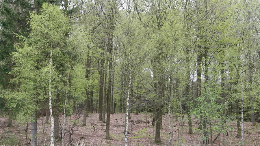incontournables du Danemark