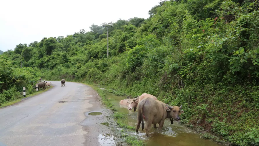 incontournables du Laos