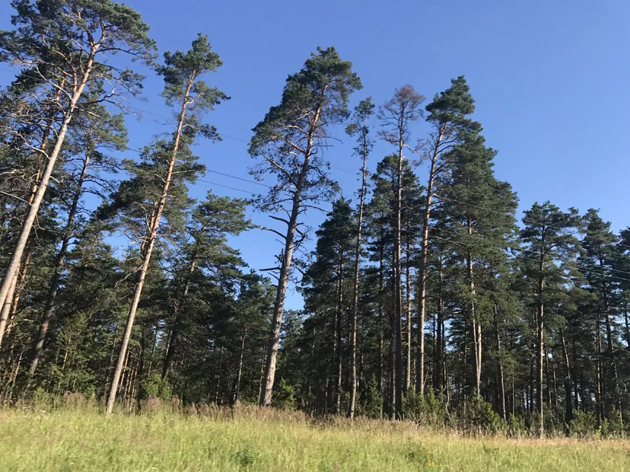 incontournables de la Lettonie