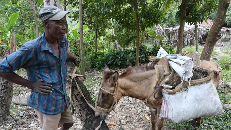 incontournables à Haïti