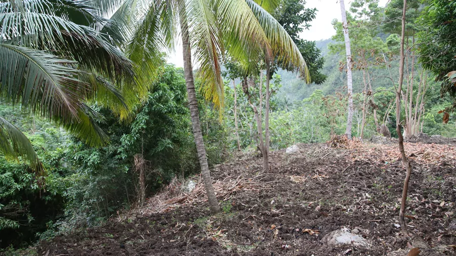incontournables à Haïti