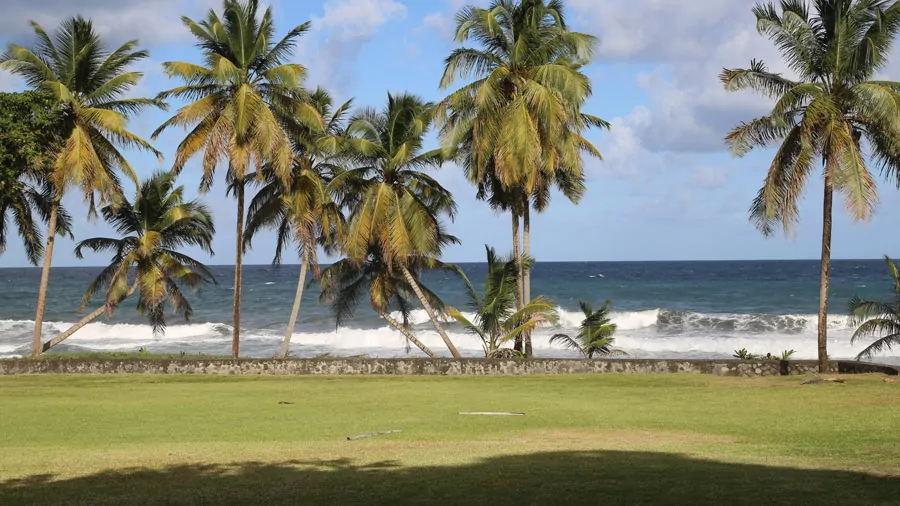 incontournables de Saint-Vincent-et-les-Grenadines