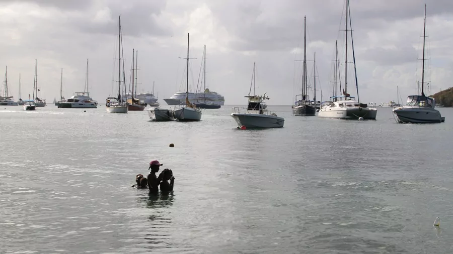 incontournables des Grenadines
