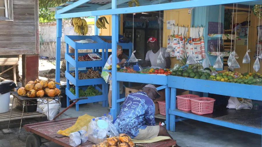 incontournables des Grenadines
