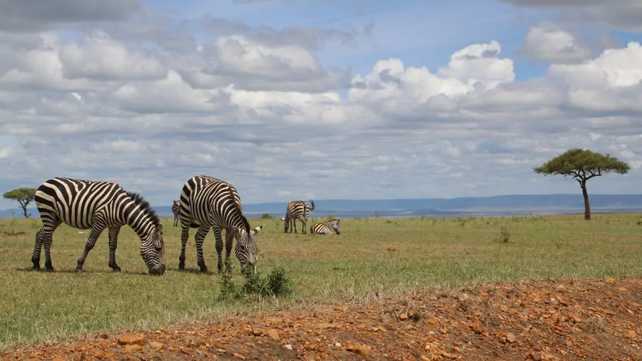 incontournables du Kenya