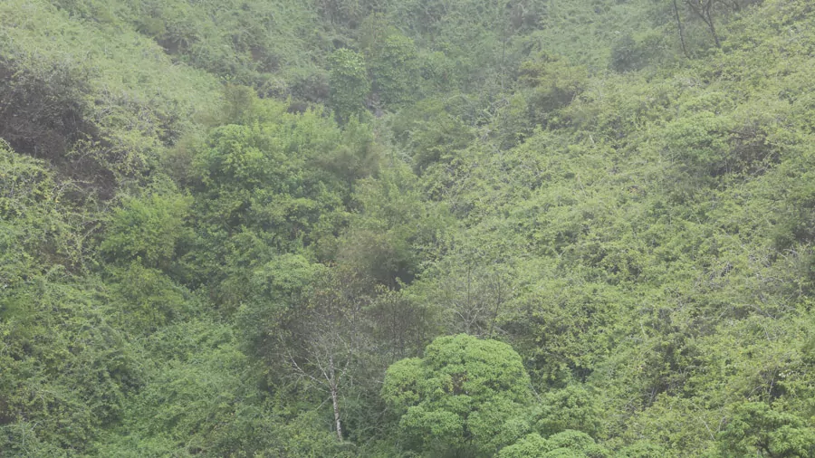 incontournables de San Cristóbal