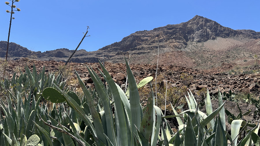 incontournables de Gran Canaria
