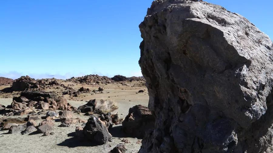 incontournables de Tenerife
