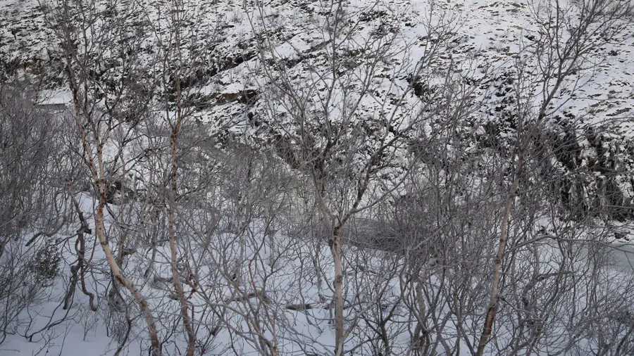 incontournables de la Norvège