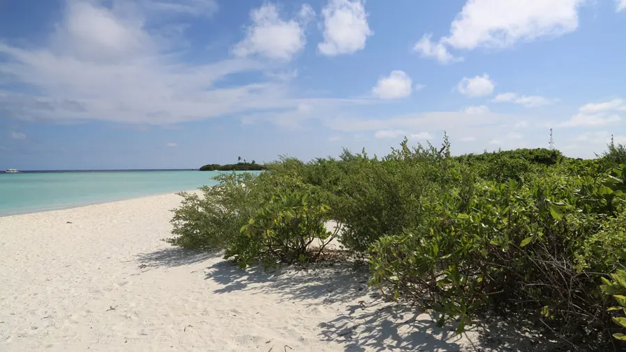 incontournables de l'atoll d'Alifu