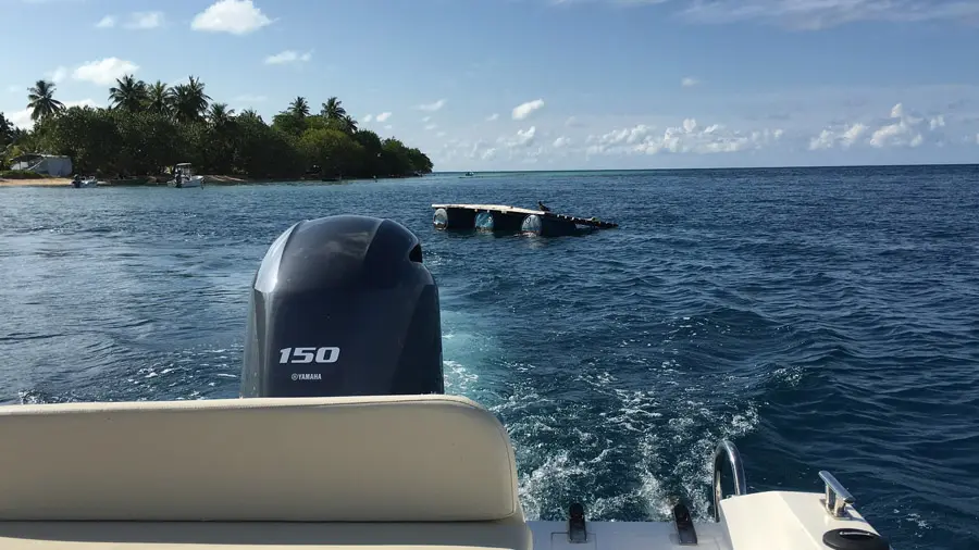 incontournables de l'atoll d'Alifu