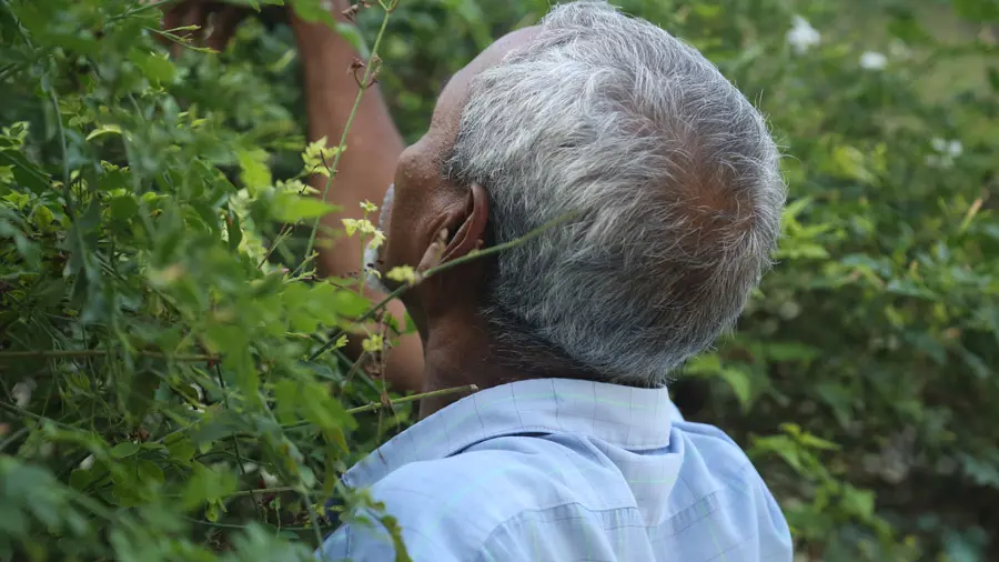 incontournables de Malé