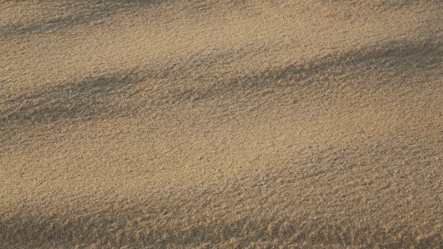 incontournables de l'Émirat d'Abou Dhabi
