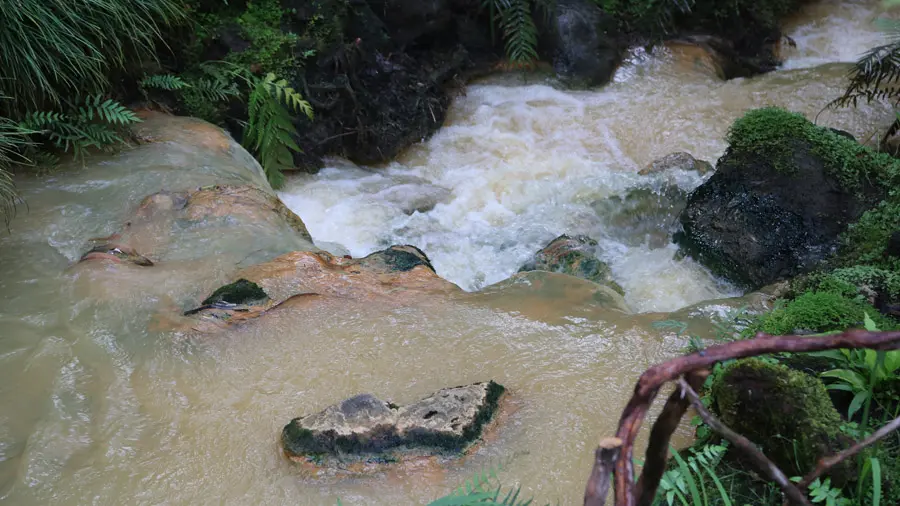 incontournables de Terceira