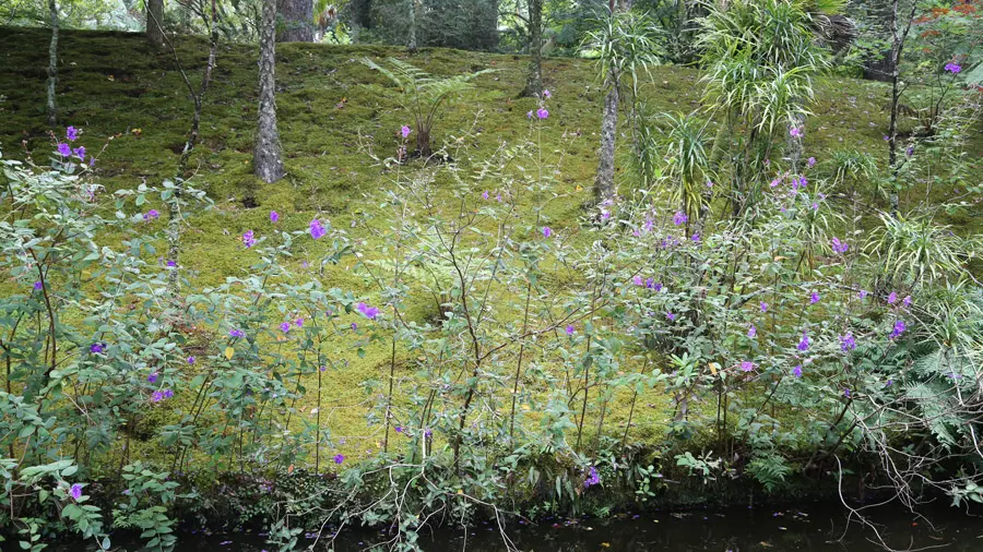 incontournables de Terceira