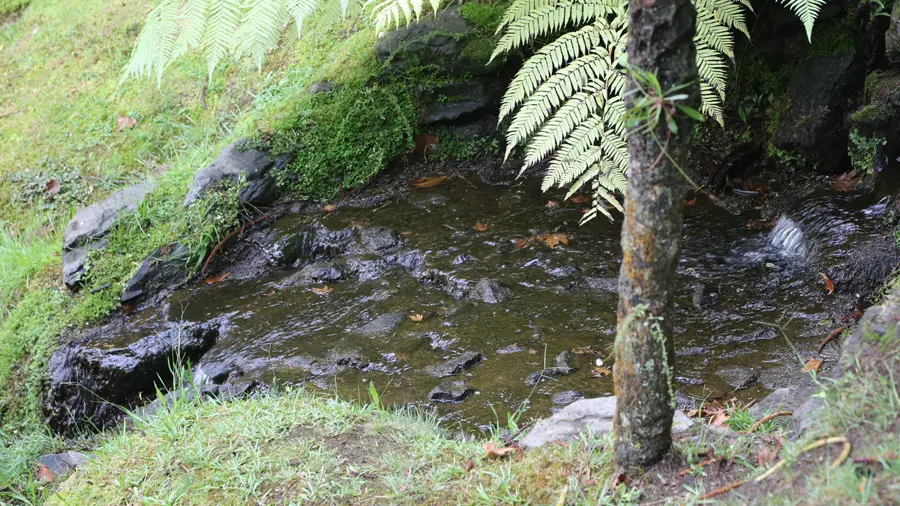 incontournables de Terceira
