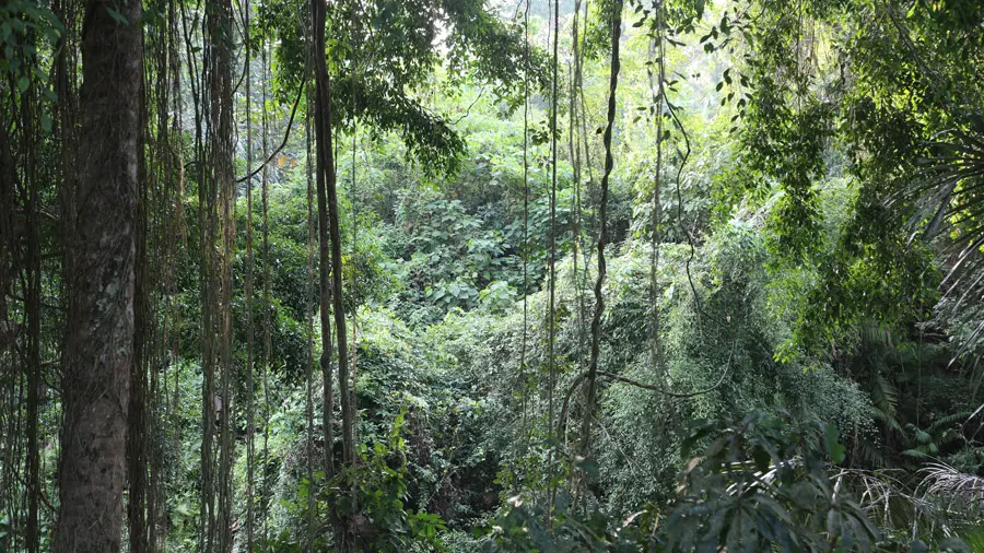 incontournables de Bali