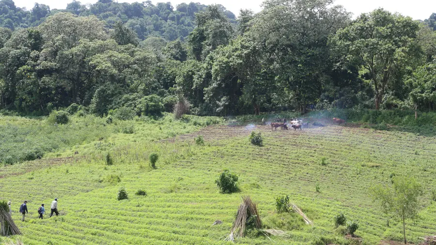 incontournables de la République démocratique du Congo