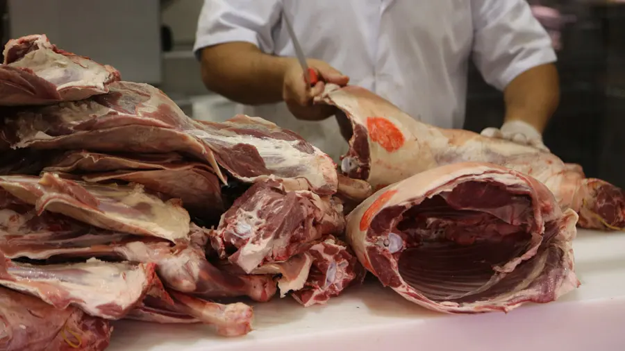 incontournables de l'Émirat d'Abou Dhabi