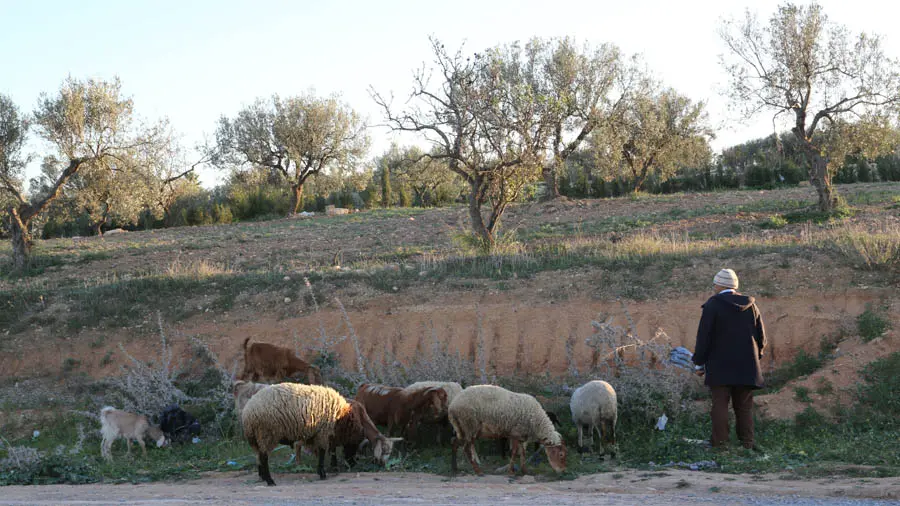 incontournables de la Tunisie
