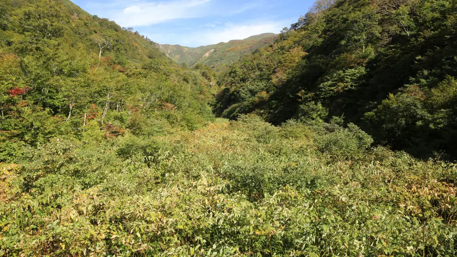 incontournables du Japon