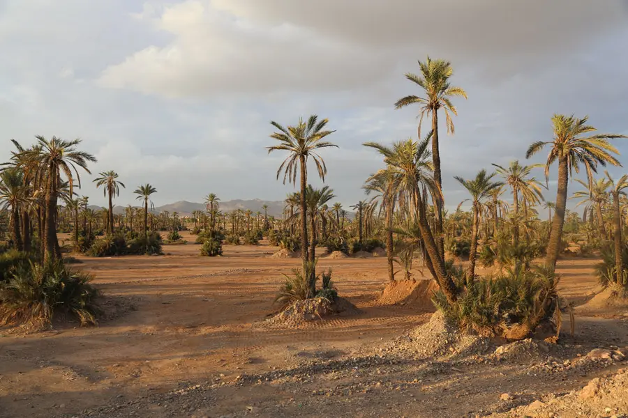 incontournables du Maroc