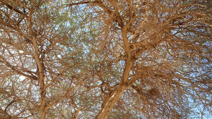 incontournables de l'Égypte