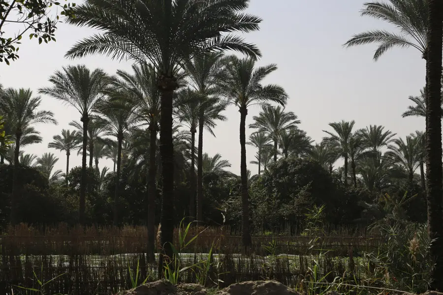 incontournables de l'Égypte