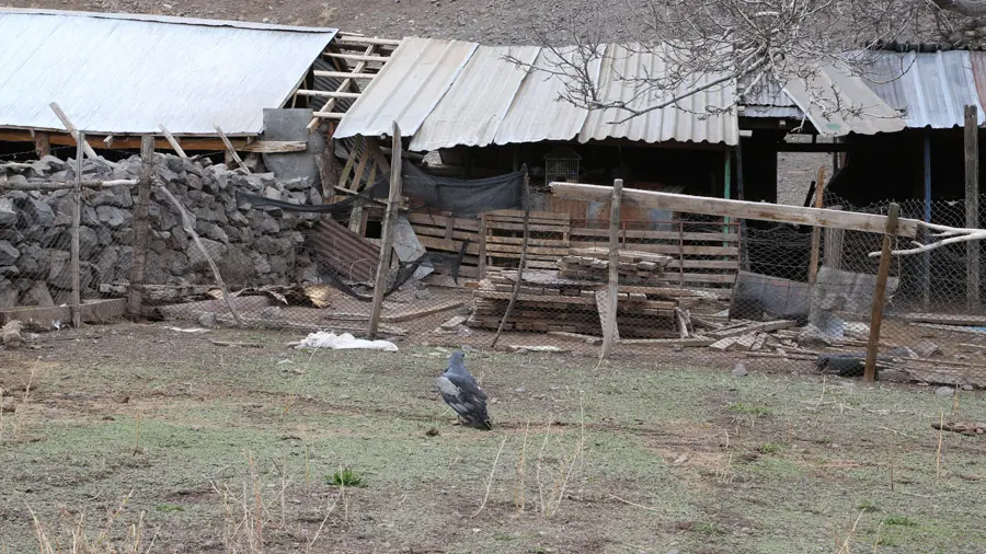 incontournables de la Patagonie chilienne