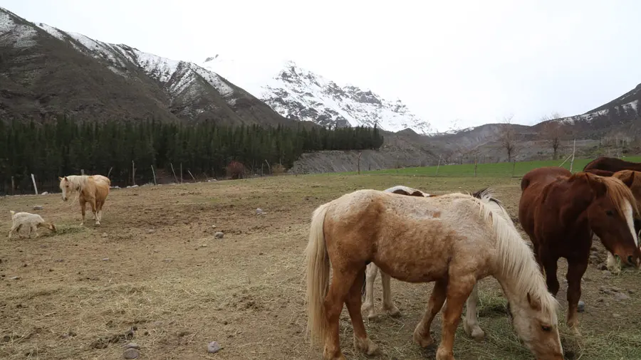 incontournables de la Patagonie chilienne